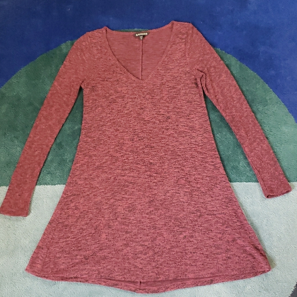 Express Swing Dress